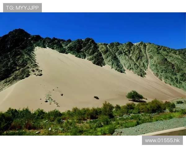 《在那遥远的地方》：星光璀璨，情深几许？揭秘幕后英雄与荧幕情缘